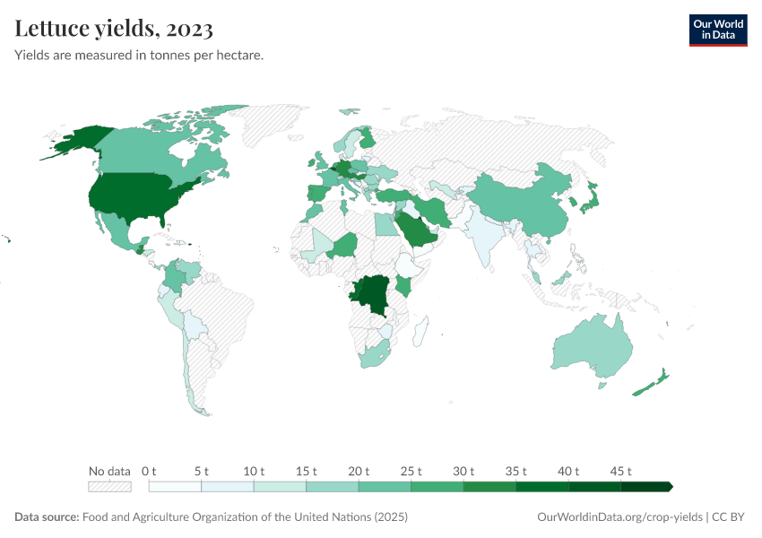 A thumbnail of the "Lettuce yields" chart