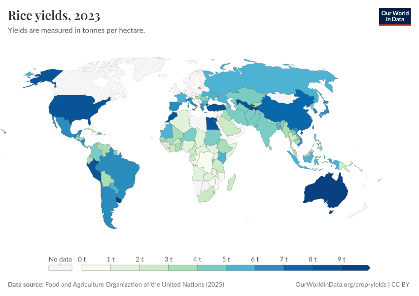 A thumbnail of the "Rice yields" chart